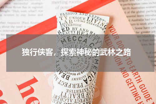  独行侠客，探索神秘的武林之路