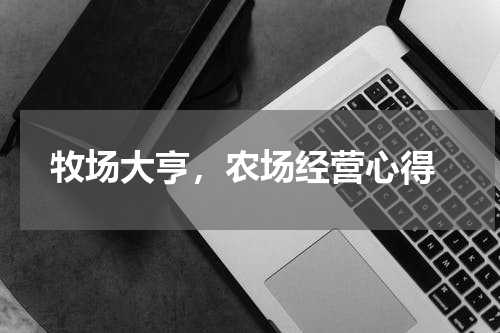  牧场大亨，农场经营心得