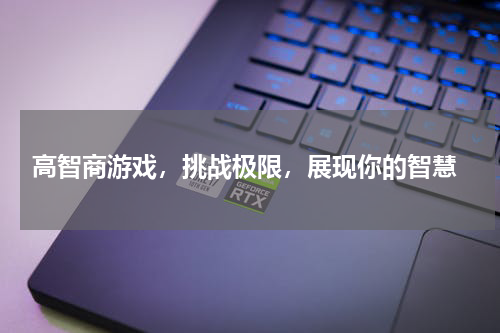  高智商游戏，挑战极限，展现你的智慧