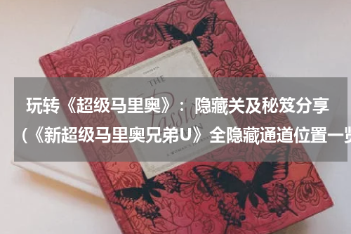  玩转《超级马里奥》：隐藏关及秘笈分享(《新超级马里奥兄弟U》全隐藏通道位置一览 隐藏通道在哪)