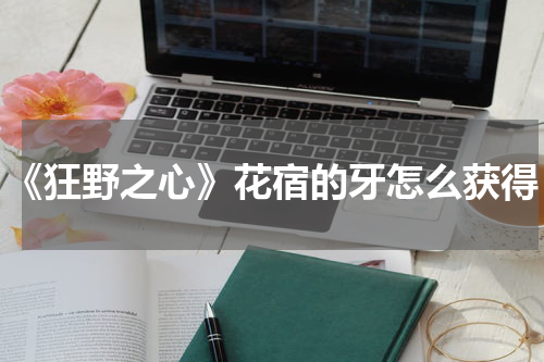 《狂野之心》花宿的牙怎么获得