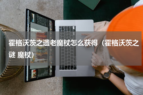 霍格沃茨之遗老魔杖怎么获得（霍格沃茨之谜 魔杖）