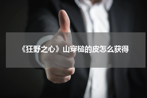 《狂野之心》山穿槌的皮怎么获得