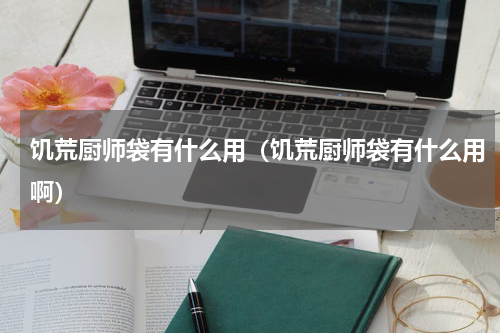 饥荒厨师袋有什么用（饥荒厨师袋有什么用啊）