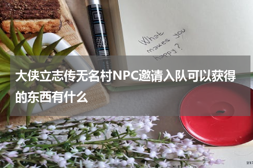大侠立志传无名村NPC邀请入队可以获得的东西有什么