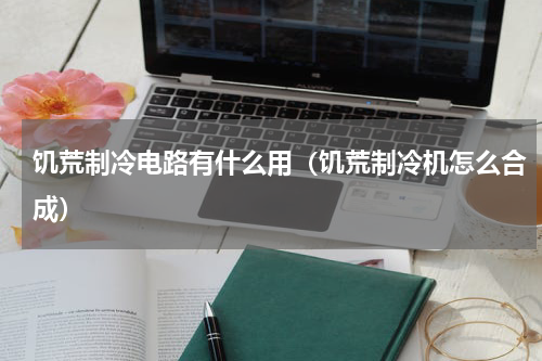饥荒制冷电路有什么用（饥荒制冷机怎么合成）