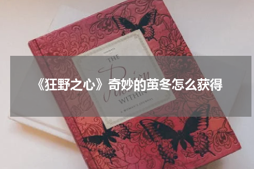 《狂野之心》奇妙的茧冬怎么获得