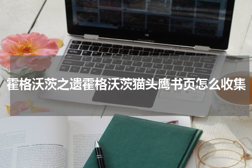 霍格沃茨之遗霍格沃茨猫头鹰书页怎么收集