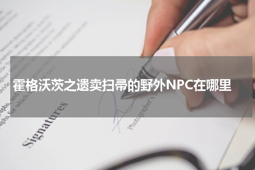 霍格沃茨之遗卖扫帚的野外NPC在哪里