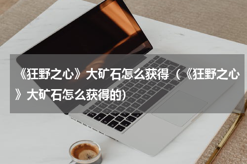 《狂野之心》大矿石怎么获得（《狂野之心》大矿石怎么获得的）