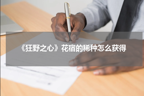 《狂野之心》花宿的稀种怎么获得