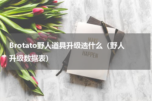 Brotato野人道具升级选什么（野人升级数据表）