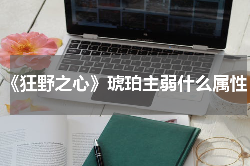 《狂野之心》琥珀主弱什么属性