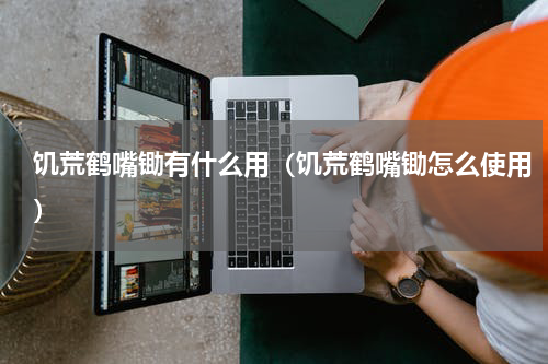 饥荒鹤嘴锄有什么用（饥荒鹤嘴锄怎么使用）