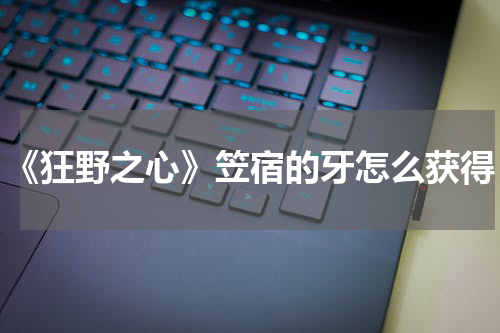 《狂野之心》笠宿的牙怎么获得