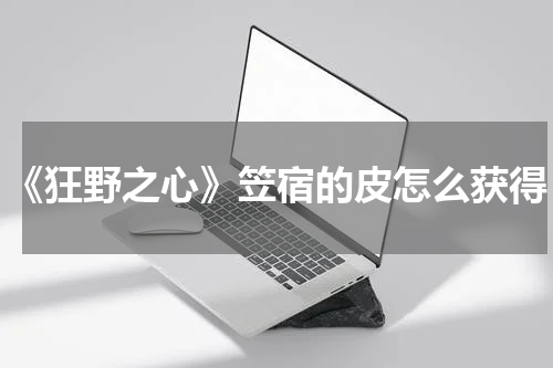 《狂野之心》笠宿的皮怎么获得