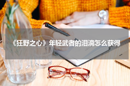 《狂野之心》年轻武者的泪滴怎么获得