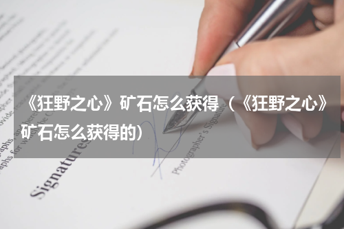 《狂野之心》矿石怎么获得（《狂野之心》矿石怎么获得的）