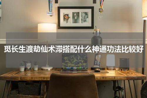 觅长生渡劫仙术滞搭配什么神通功法比较好