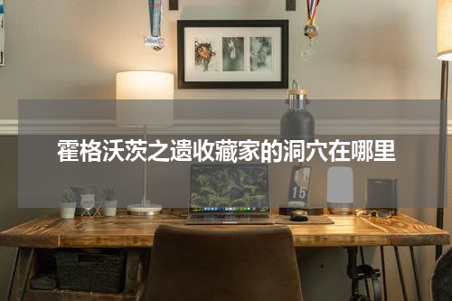 霍格沃茨之遗收藏家的洞穴在哪里
