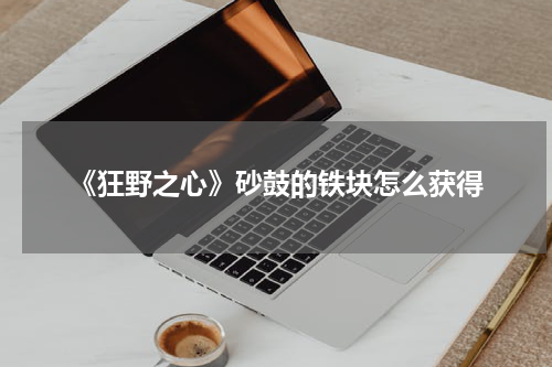 《狂野之心》砂鼓的铁块怎么获得