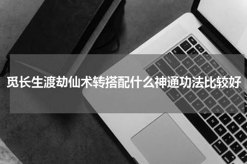 觅长生渡劫仙术转搭配什么神通功法比较好