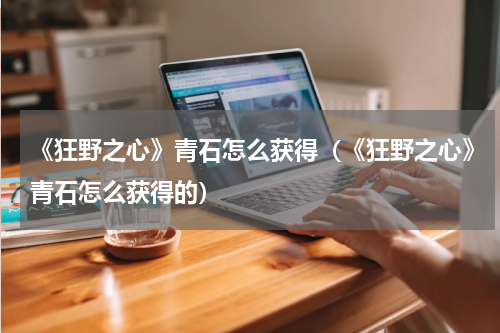 《狂野之心》青石怎么获得（《狂野之心》青石怎么获得的）