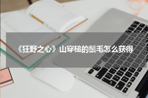 《狂野之心》山穿槌的鬃毛怎么获得