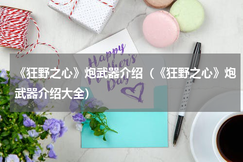 《狂野之心》炮武器介绍（《狂野之心》炮武器介绍大全）