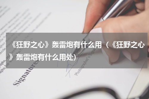 《狂野之心》轰雷炮有什么用（《狂野之心》轰雷炮有什么用处）