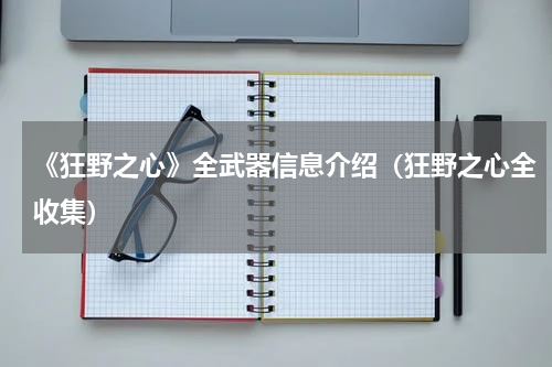 《狂野之心》全武器信息介绍（狂野之心全收集）