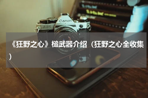 《狂野之心》槌武器介绍（狂野之心全收集）