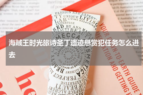 海贼王时光旅诗圣丁遗迹悬赏犯任务怎么进去
