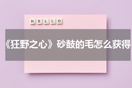 《狂野之心》砂鼓的毛怎么获得