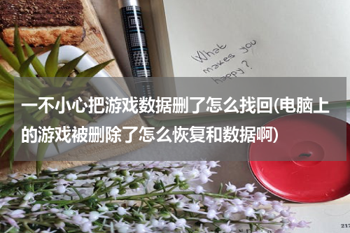 一不小心把游戏数据删了怎么找回(电脑上的游戏被删除了怎么恢复和数据啊)
