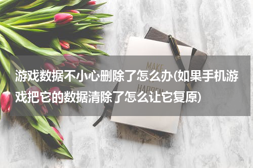 游戏数据不小心删除了怎么办(如果手机游戏把它的数据清除了怎么让它复原)