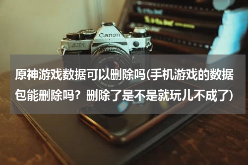 原神游戏数据可以删除吗(手机游戏的数据包能删除吗？删除了是不是就玩儿不成了)