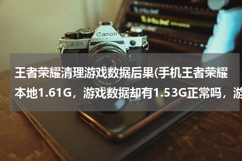 王者荣耀清理游戏数据后果(手机王者荣耀本地1.61G，游戏数据却有1.53G正常吗，游戏数据清理了会怎样？)