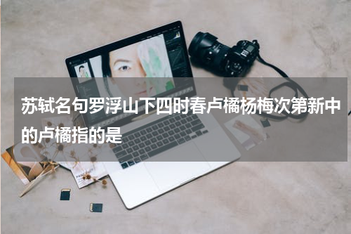苏轼名句罗浮山下四时春卢橘杨梅次第新中的卢橘指的是