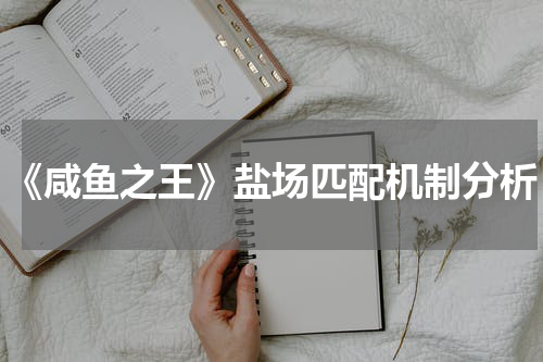 《咸鱼之王》盐场匹配机制分析