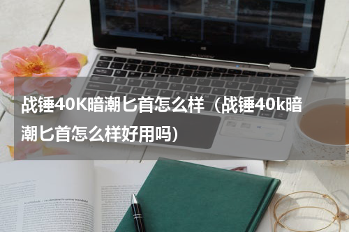 战锤40K暗潮匕首怎么样（战锤40k暗潮匕首怎么样好用吗）