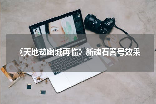 《天地劫幽城再临》新魂石翯号效果