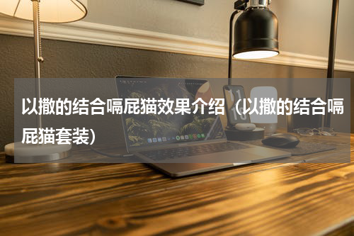 以撒的结合嗝屁猫效果介绍（以撒的结合嗝屁猫套装）
