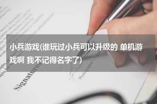 小兵游戏(谁玩过小兵可以升级的 单机游戏啊 我不记得名字了)