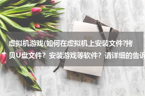 虚拟机游戏(如何在虚拟机上安装文件?拷贝U盘文件？安装游戏等软件？请详细的告诉我哦，谢谢)