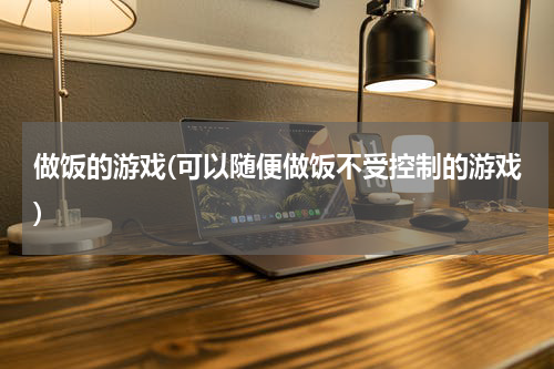 做饭的游戏(可以随便做饭不受控制的游戏)