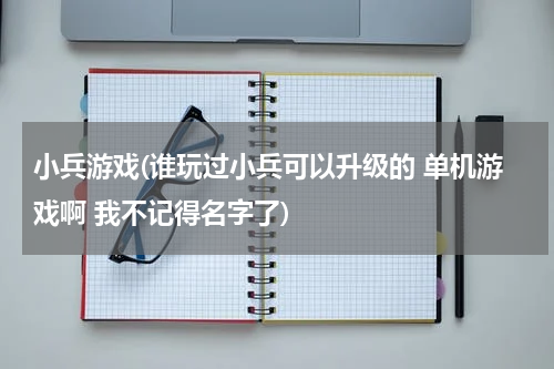 小兵游戏(谁玩过小兵可以升级的 单机游戏啊 我不记得名字了)