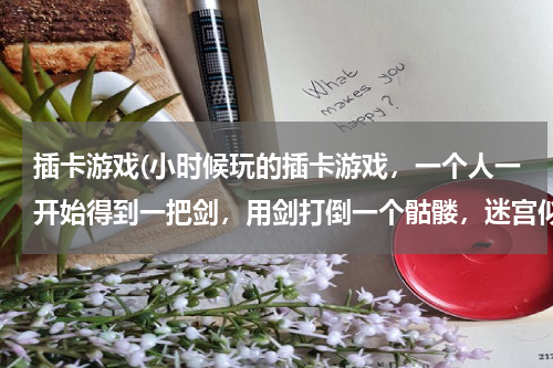 插卡游戏(小时候玩的插卡游戏，一个人一开始得到一把剑，用剑打倒一个骷髅，迷宫似的风格，各种机关，有谁知道？)