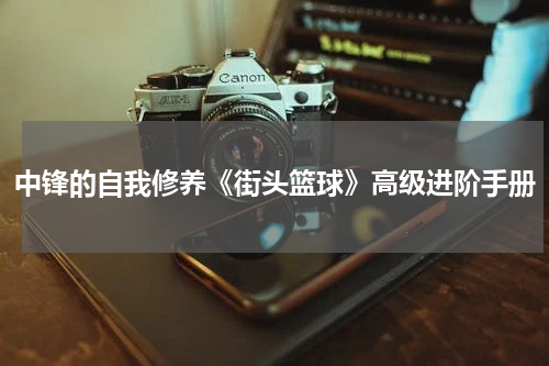 中锋的自我修养《街头篮球》高级进阶手册