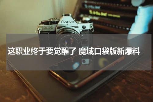 这职业终于要觉醒了 魔域口袋版新爆料